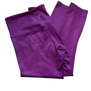 Zyia Lipgloss Metallic Plus High Rise Leggings 20” Inseam Sz 4